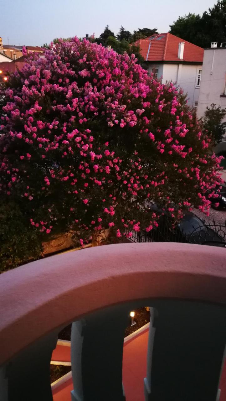 波尔图 House Of Pandora酒店 外观 照片
